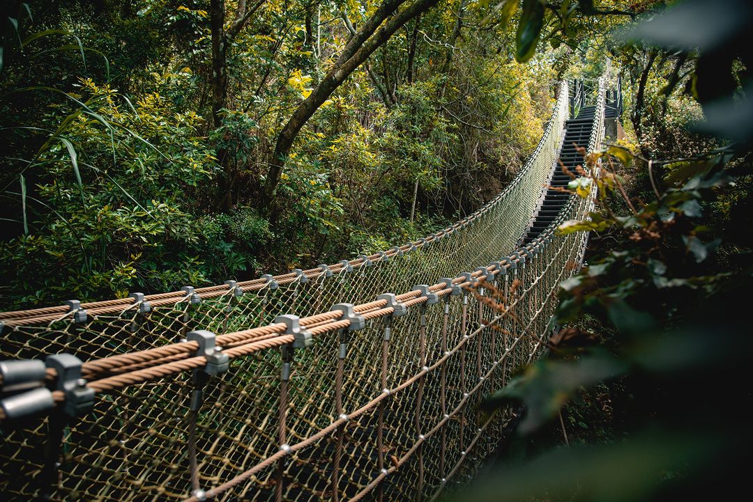 亲子出游好去处，到台中登山步道一起向前行