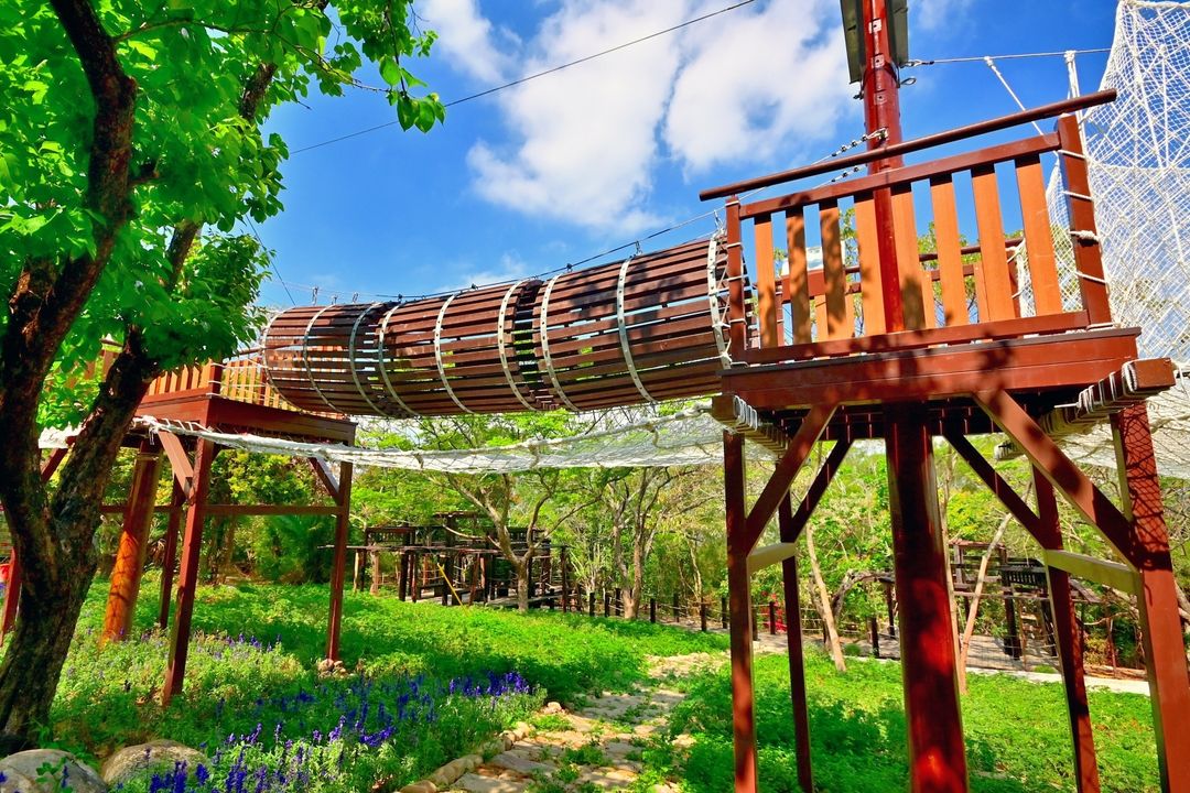 ＼大坑1号登山步道体训场完工！全区7/31开放使用／