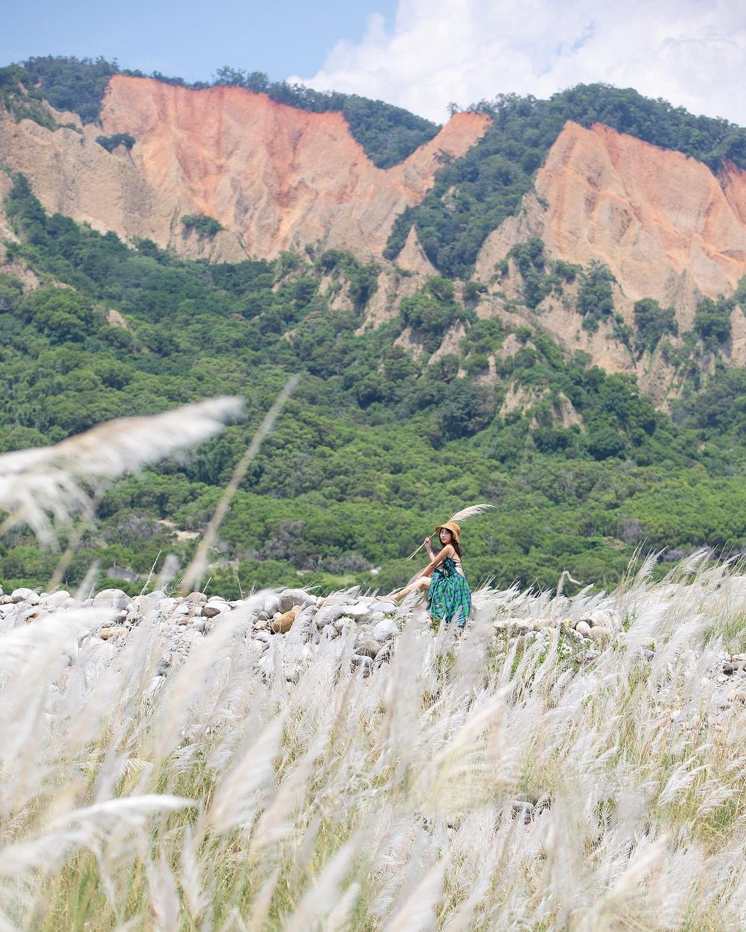 走访台中芒草、甜根子草秘境，感受秋天渐渐靠近的脚步
