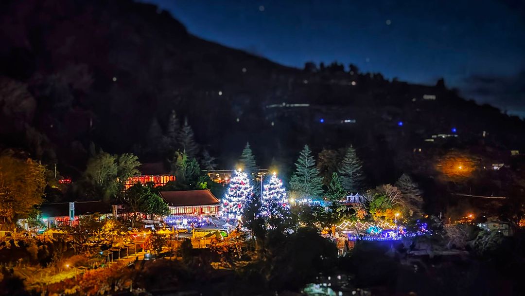 雲端上的耶誕樹！梨山谷關 #山谷燈光節 登場！