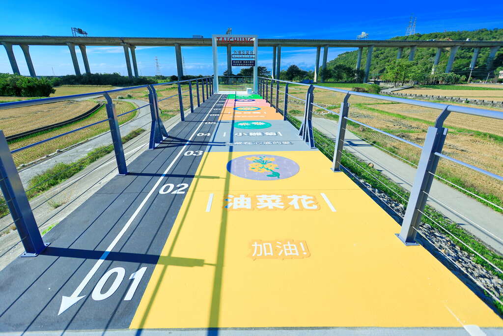 臺中人甲后線自行車道秘境，田園美景盡收眼底🌾