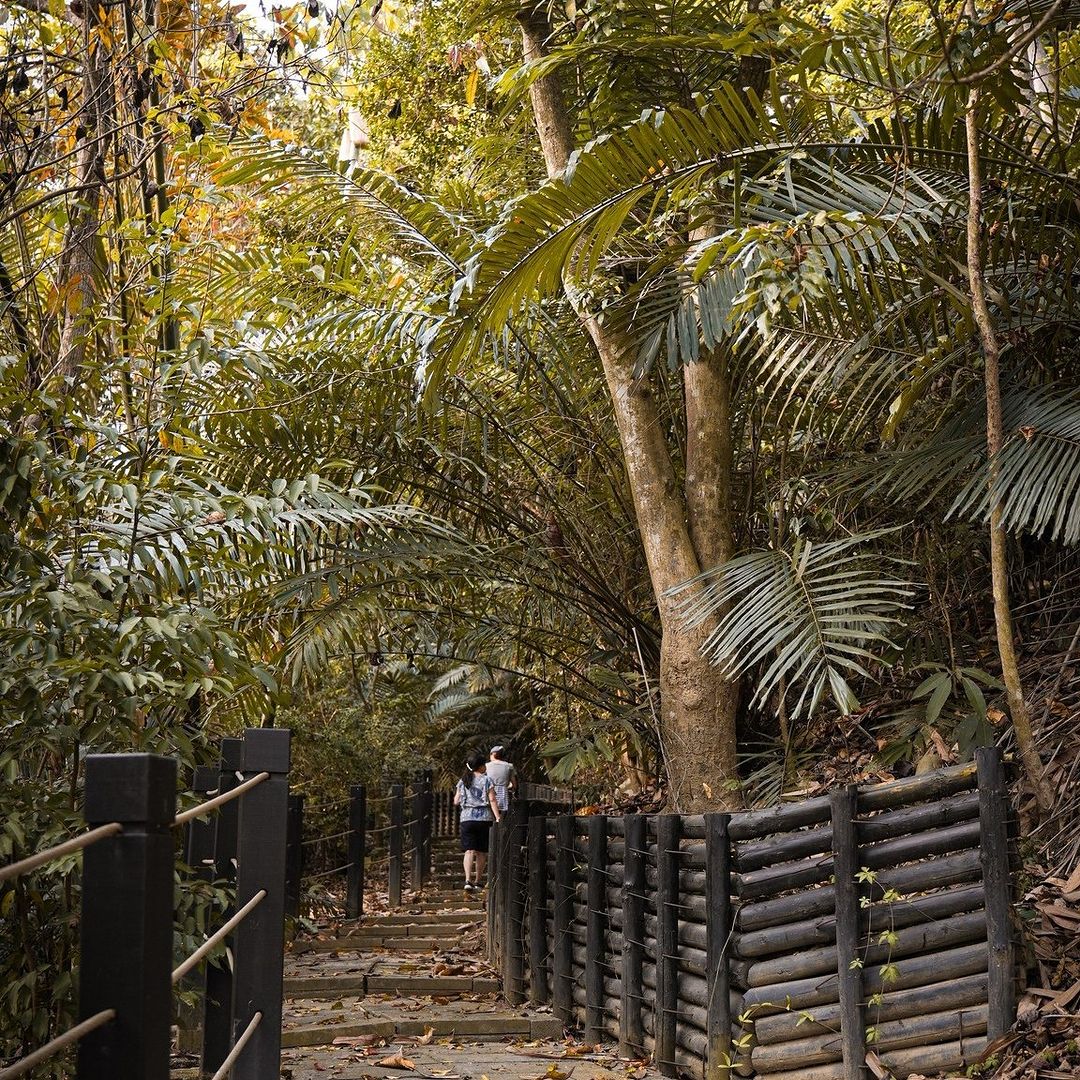 週末的休閒假期🌞就到霧峰小小登山步道踏青～漫步茂密樹林暫時遠離塵囂🌳周邊還有更多具歷史意義的景點喲.ᐟ.ᐟ