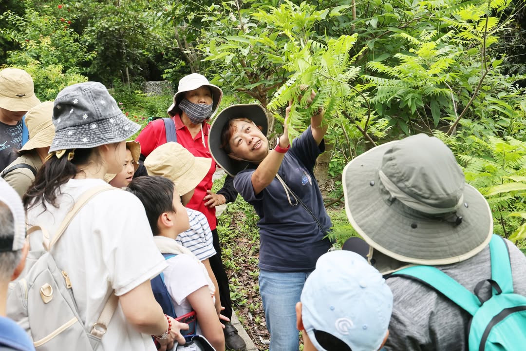 夏天就是要追蝴蝶！ 