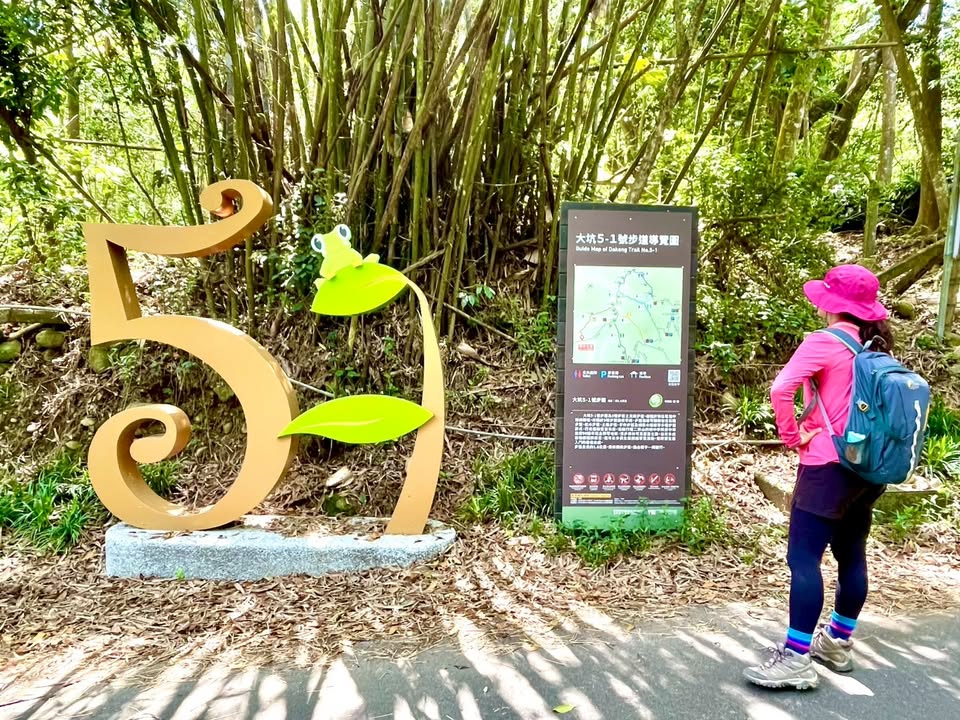🌿【跟著布朗青蛙去旅行🐸｜大坑5-1號手作文學步道 親子最Chill的生態健行路線！】🌳