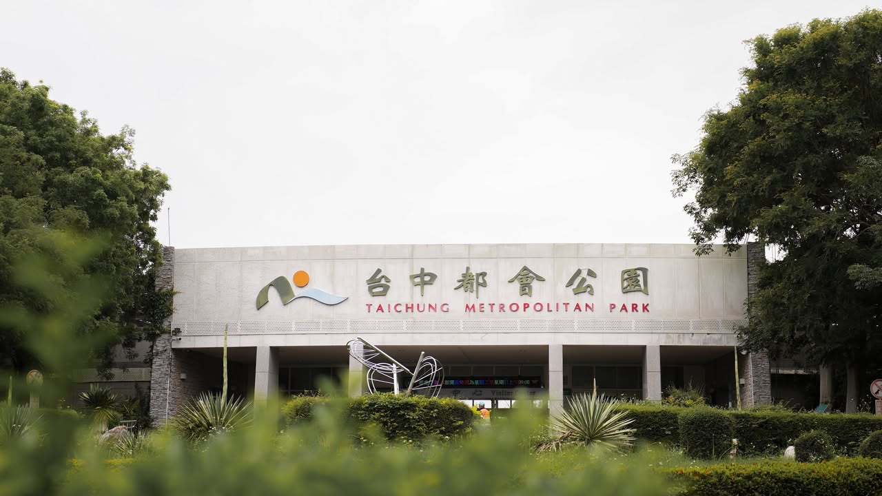 \ 城市裡的候鳥旅行🪶跟著季節的腳步，聆聽自然低語/