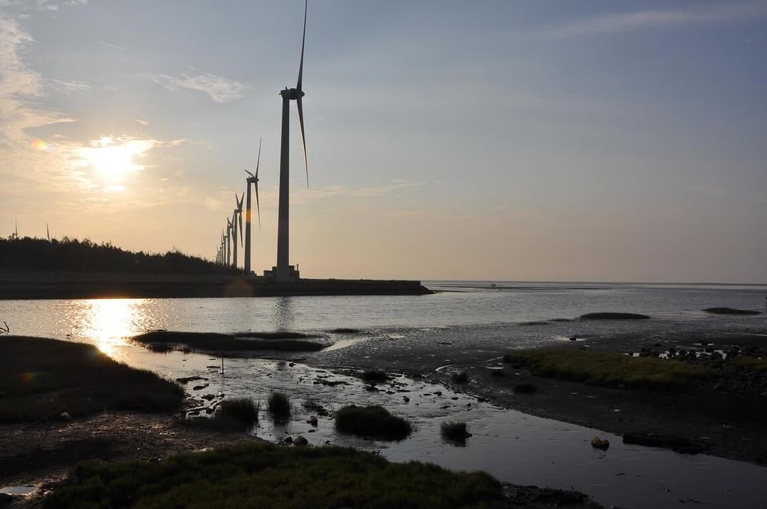 5/10世界候鳥日🪶跟著候鳥的足跡，漫遊臺中城市祕境🌿