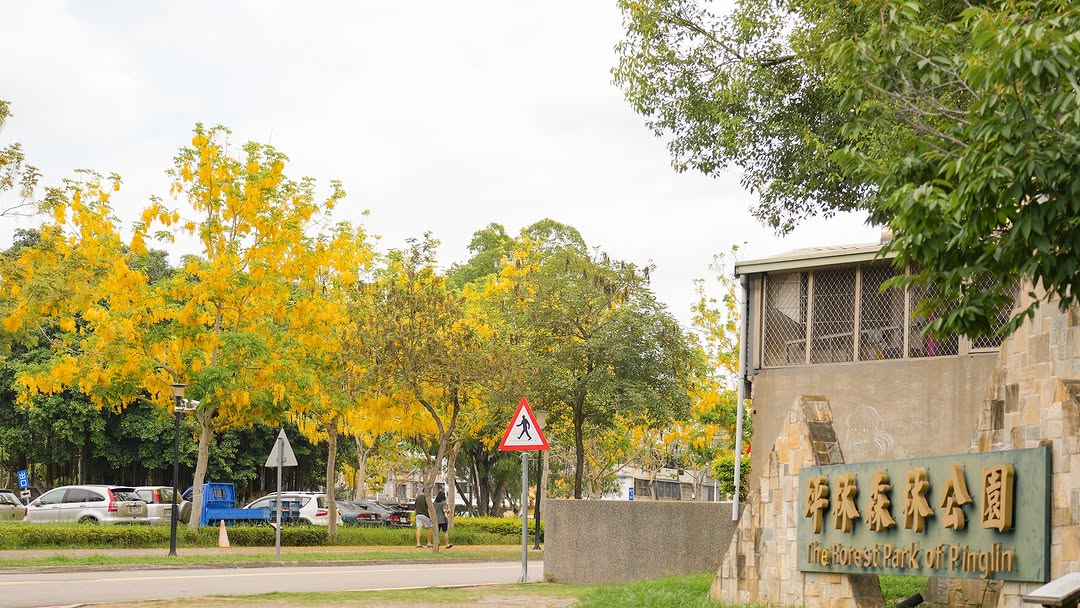 ＼ 一秒進入童話世界，跟著黃金雨阿勃勒浪漫一回🏞️／