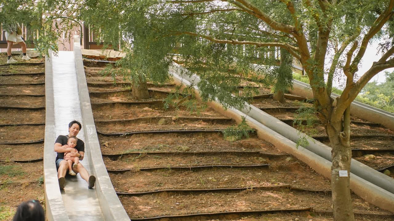 \ 中科公園超好玩！不只戲水，還有更多放電新選擇🎡 /