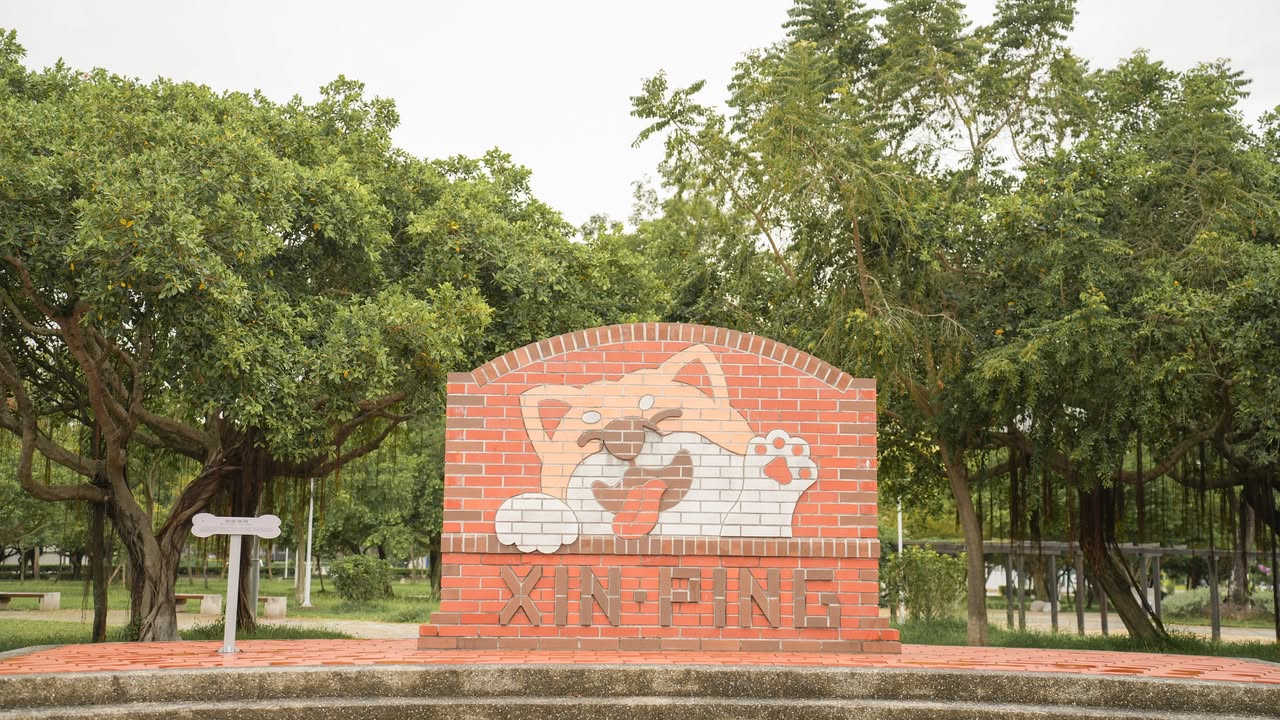 ＼ 台中寵物友善公園特輯，毛孩放風計畫🐕／