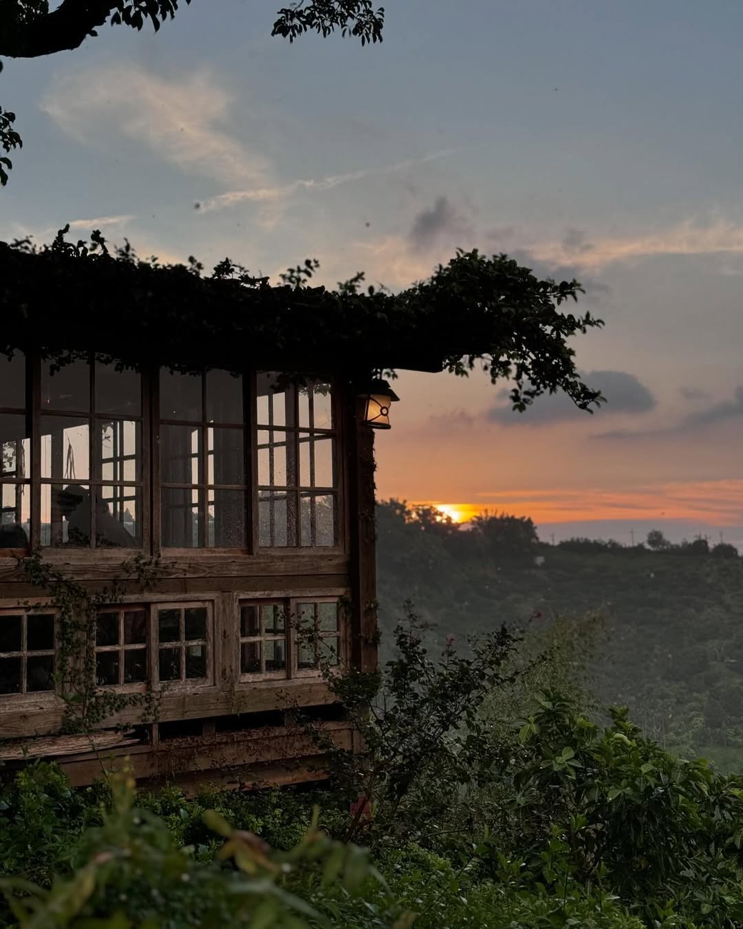 城市裡的綠洲食光🌱3間療癒系餐廳讓人一秒放鬆