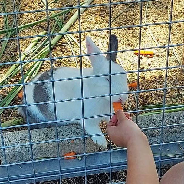 🍂走進農場和田野，台中3大親子休閒好去處！