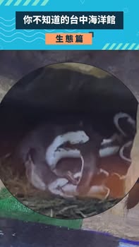 最近館內氣氛甜甜的💕