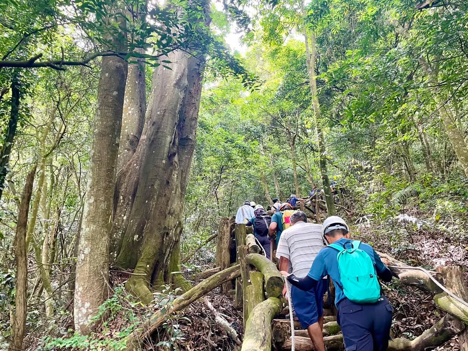 🌿 手作步道，不只是修路，更是一种与土地共好的生活方式。