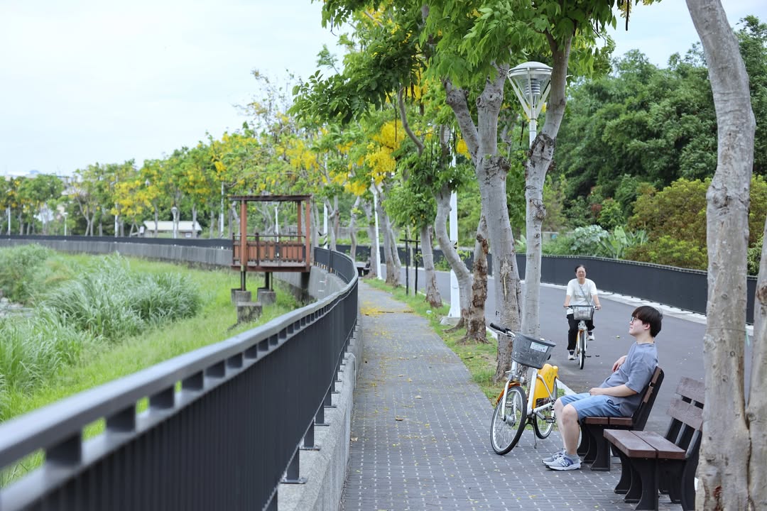 🌼🚶‍♀️【旱溪豐原阿勃樂道正式亮相！一起漫步金黃花海廊道✨】🚴‍♂️🌳