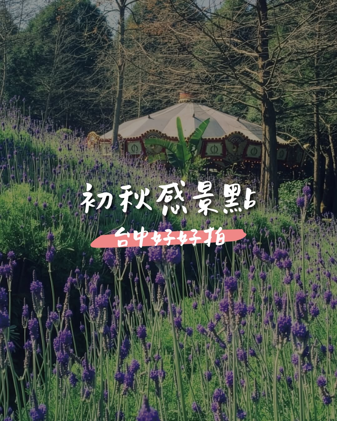 Autumn is around the corner! Experience the fresh, early autumn breeze in Taichung. 🌿 🌫️