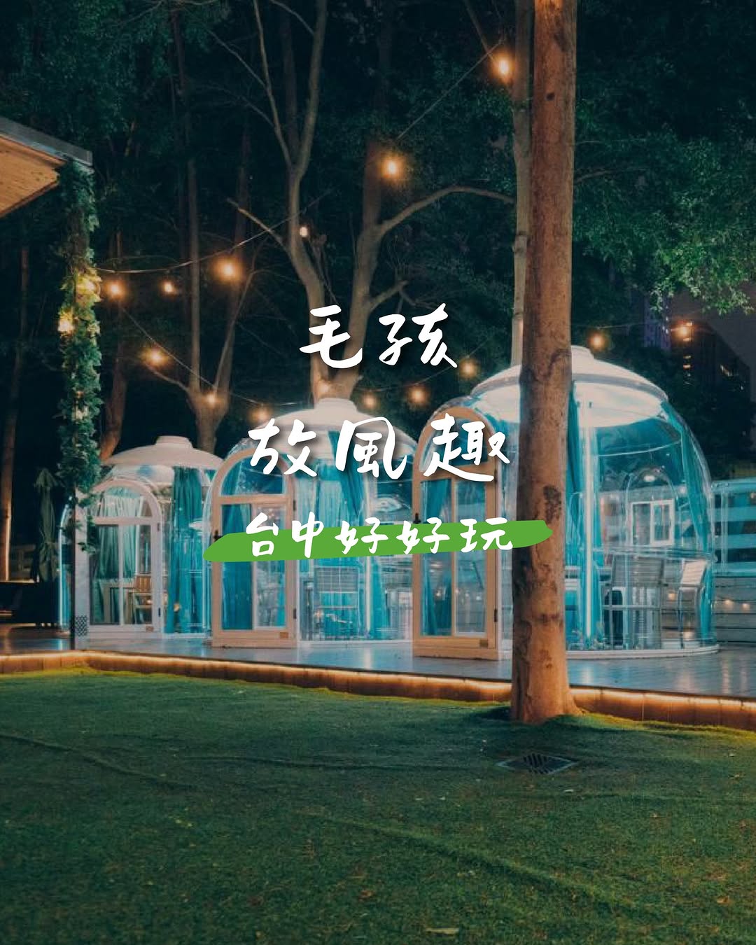 🐾 台中毛孩地图｜推荐友善宠物场所