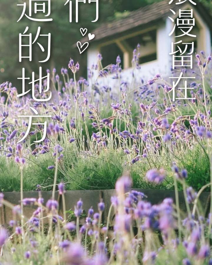 🌿 台中約會提案｜自然系約會地點