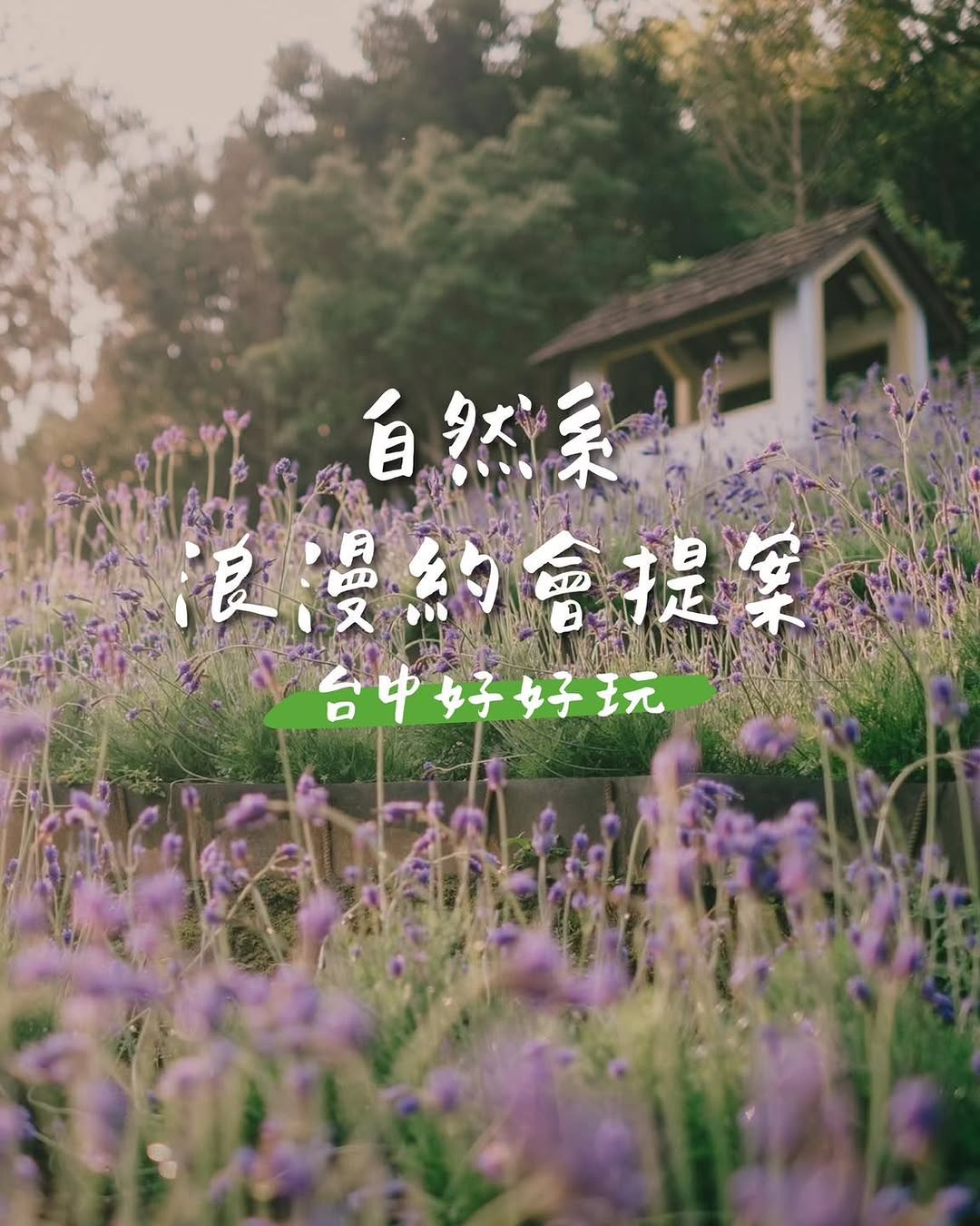🌿 台中約會提案｜自然系約會地點